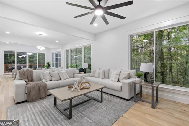 living room with ceiling fan and hardwood / wood-style floors