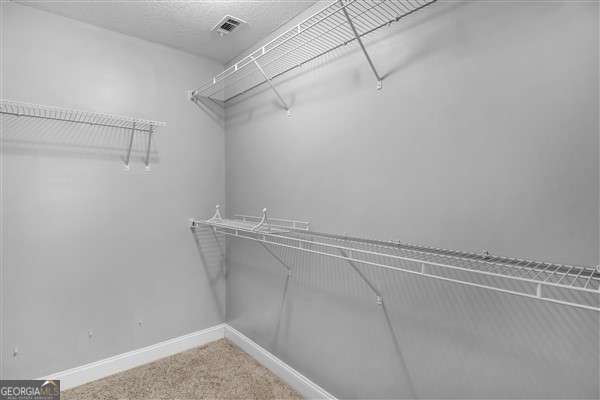 spacious closet with carpet floors