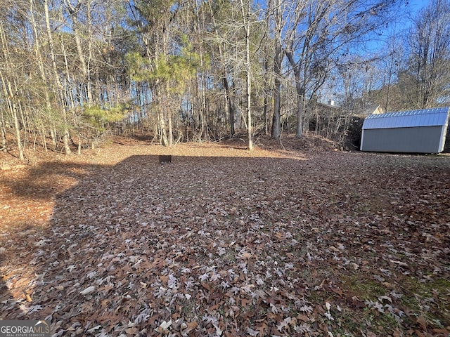 view of yard featuring a storage unit