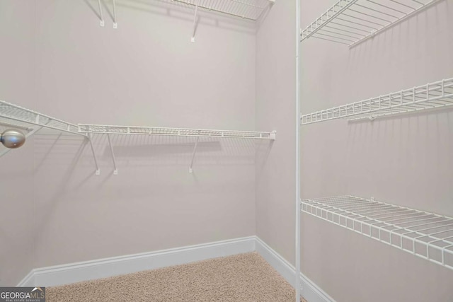 walk in closet featuring carpet floors