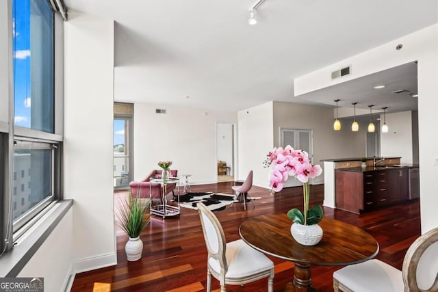 dining room featuring sink and dark wood-type flooring