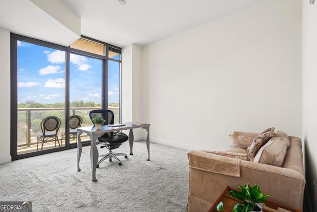 carpeted office space featuring expansive windows