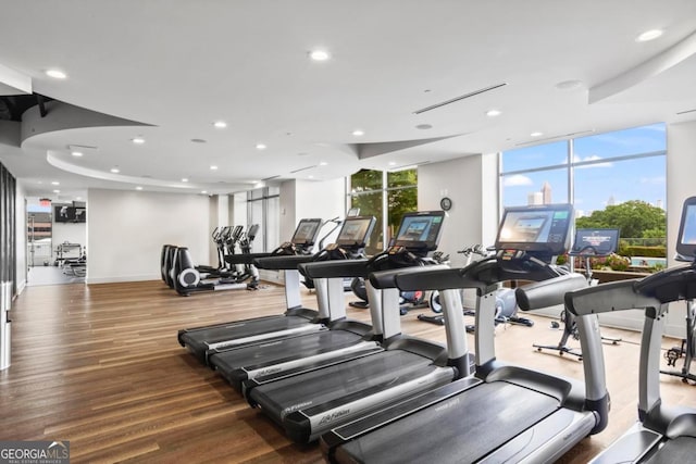 exercise room featuring floor to ceiling windows and hardwood / wood-style floors