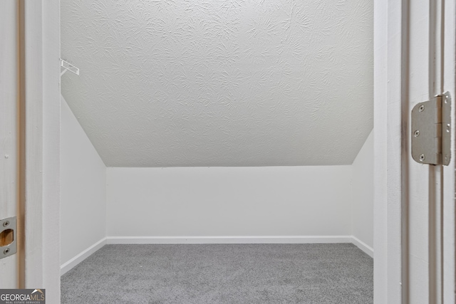 additional living space featuring carpet, vaulted ceiling, and a textured ceiling