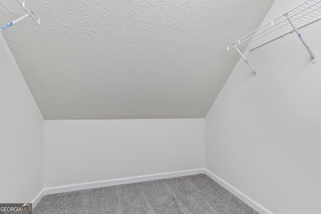 walk in closet with lofted ceiling and carpet flooring