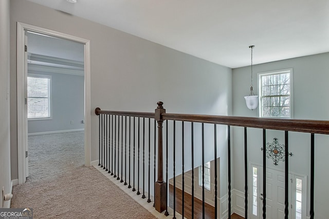 hallway featuring carpet