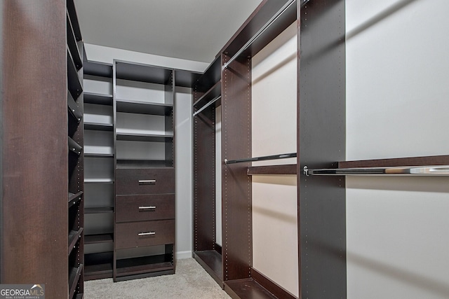 spacious closet featuring light carpet