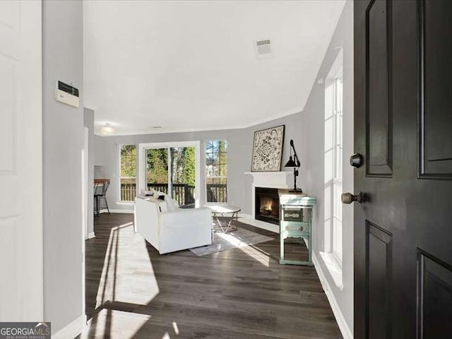 living room with dark hardwood / wood-style flooring