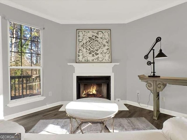 living area with wood-type flooring and crown molding