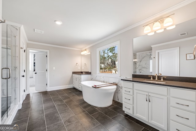 bathroom featuring vanity, ornamental molding, and plus walk in shower