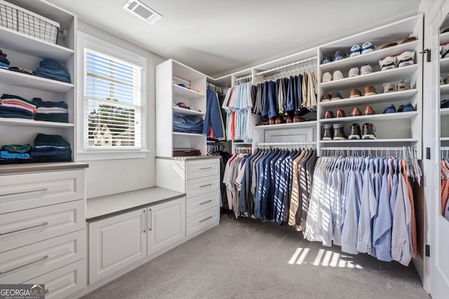 spacious closet with light colored carpet