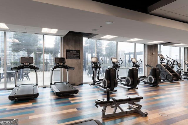 gym featuring light colored carpet and a wall of windows