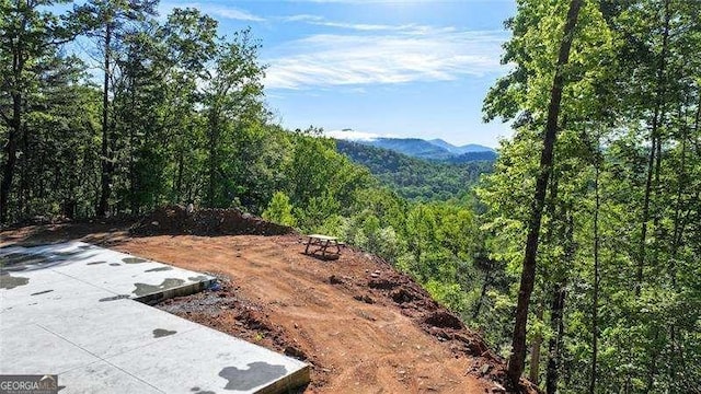 Listing photo 3 for 488 Northridge Dr, Tiger GA 30576