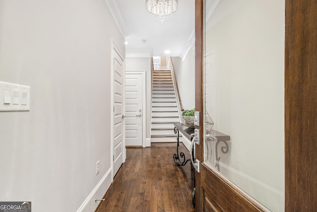 hall with crown molding, an inviting chandelier, and dark hardwood / wood-style flooring