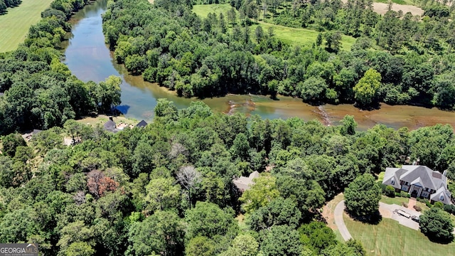 birds eye view of property with a water view and a view of trees