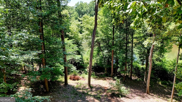 view of landscape featuring a wooded view