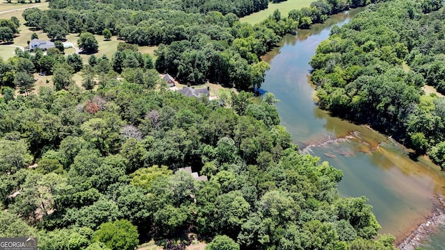 aerial view with a water view and a view of trees