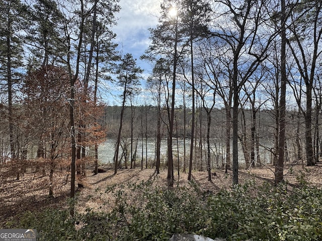 view of water feature with a wooded view