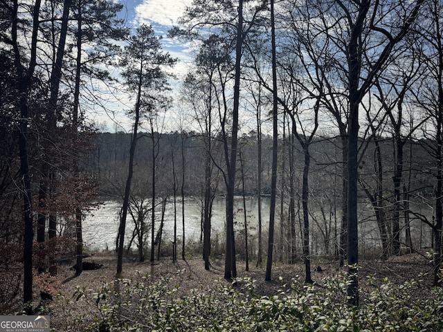 property view of water with a view of trees