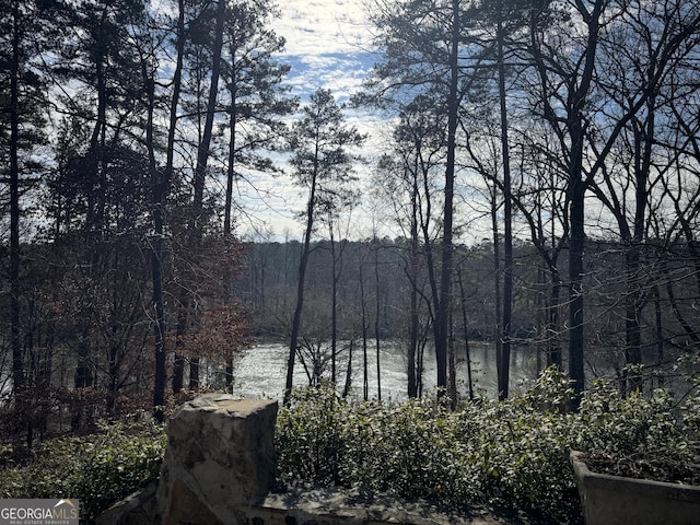 view of water feature featuring a view of trees