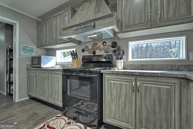 kitchen featuring premium range hood, electric range, crown molding, and a healthy amount of sunlight