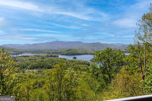 mountain view featuring a water view