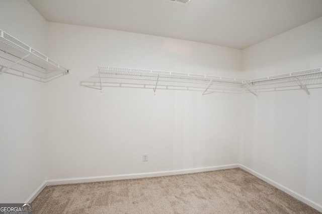 spacious closet with light carpet