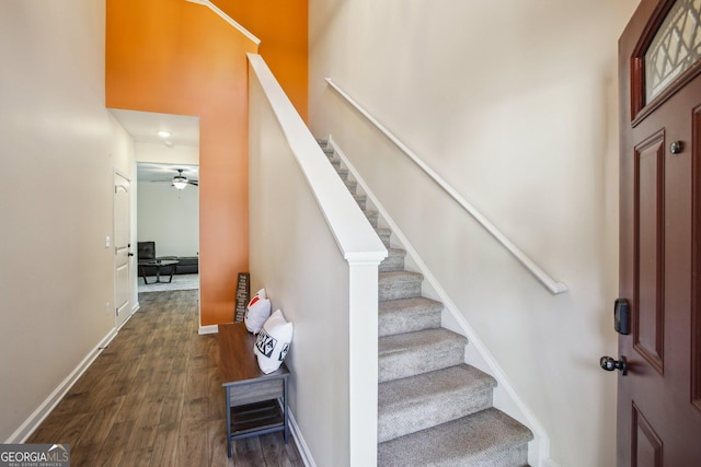 staircase featuring ceiling fan and hardwood / wood-style flooring