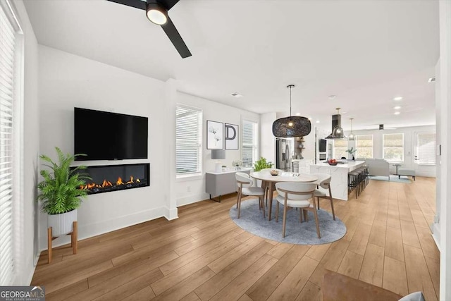 dining area with ceiling fan and light hardwood / wood-style flooring