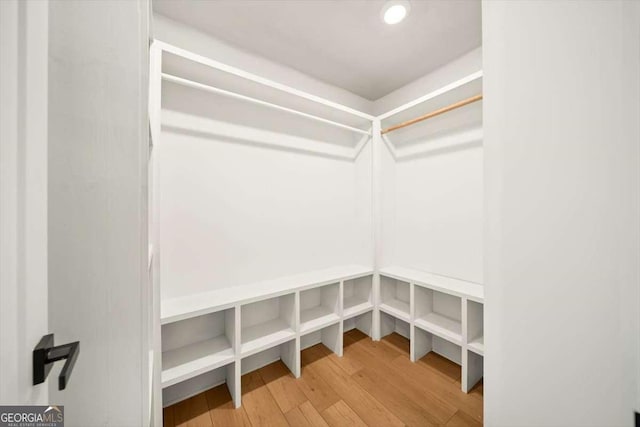 spacious closet featuring hardwood / wood-style floors