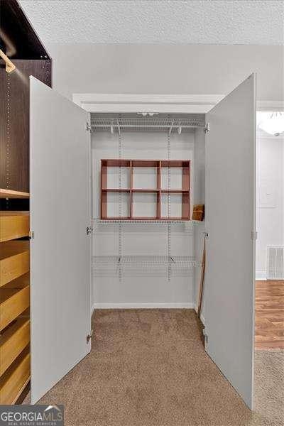 spacious closet with carpet