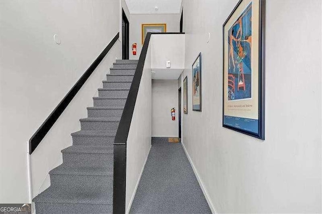 stairs with carpet