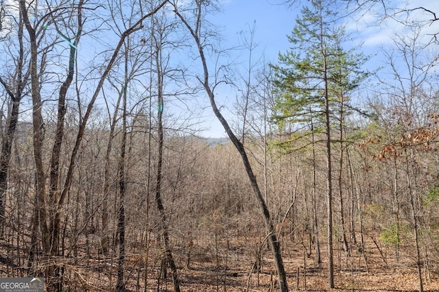 view of landscape