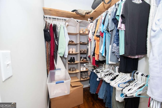 walk in closet featuring dark wood-type flooring