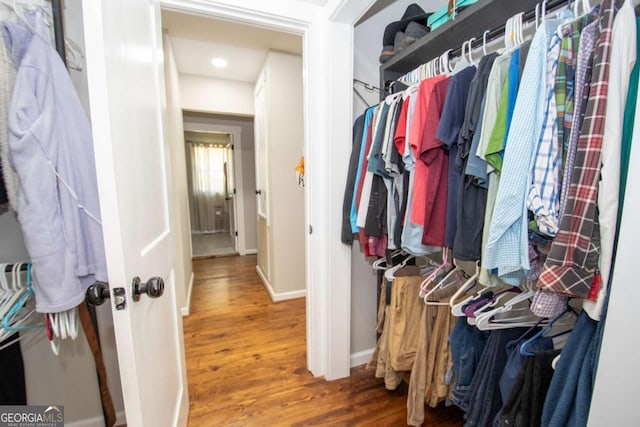 walk in closet with wood-type flooring