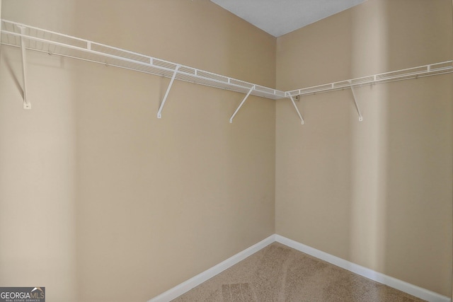 spacious closet with carpet floors