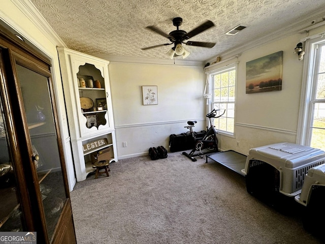 504 Plantation Creek Dr, Loganville, GA 30052 - exercise area featuring visible vents, ornamental molding, and ceiling fan