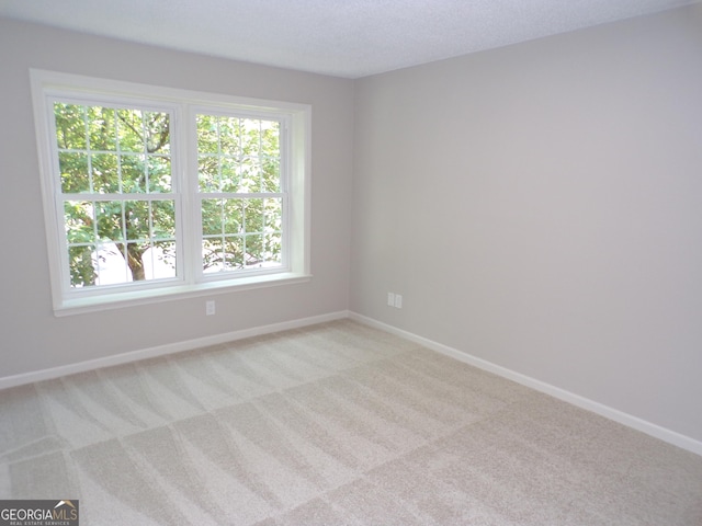 empty room with a textured ceiling, a healthy amount of sunlight, and light carpet