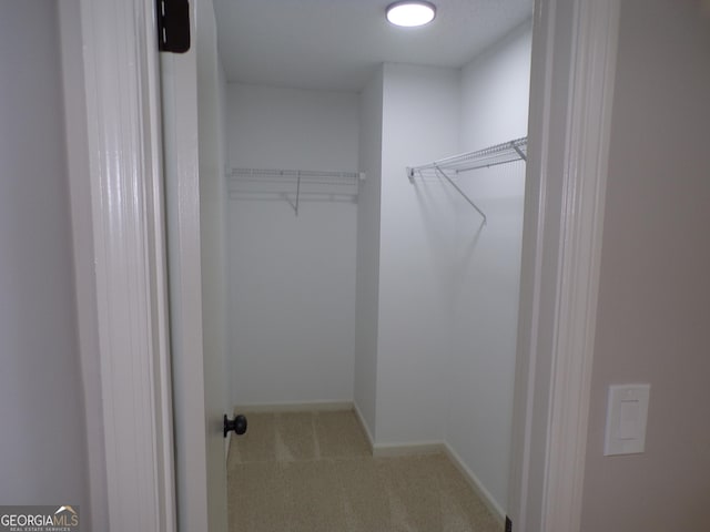 walk in closet with light carpet