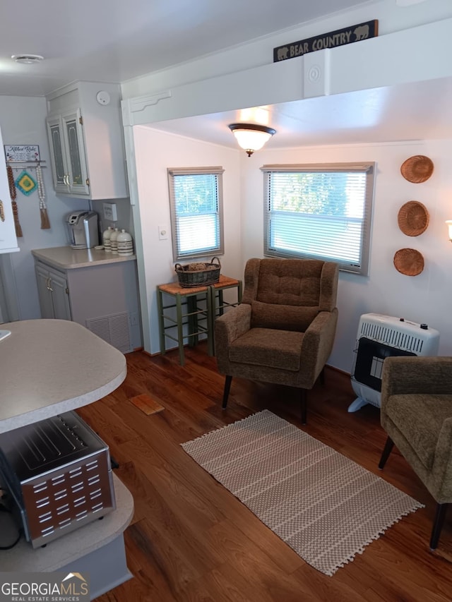 living room featuring dark wood-type flooring and heating unit