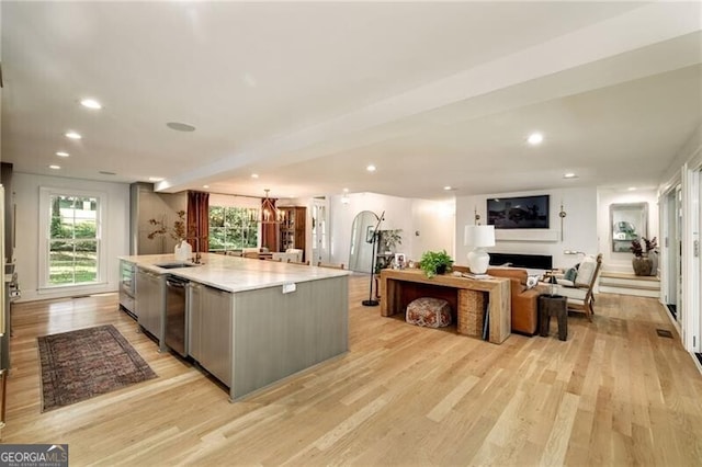 kitchen with a healthy amount of sunlight, stainless steel dishwasher, light hardwood / wood-style flooring, and a large island