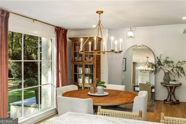 dining room with wood-type flooring