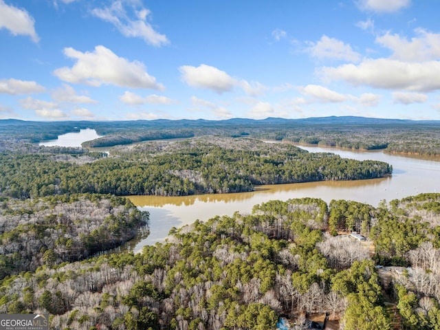 bird's eye view featuring a forest view and a water and mountain view