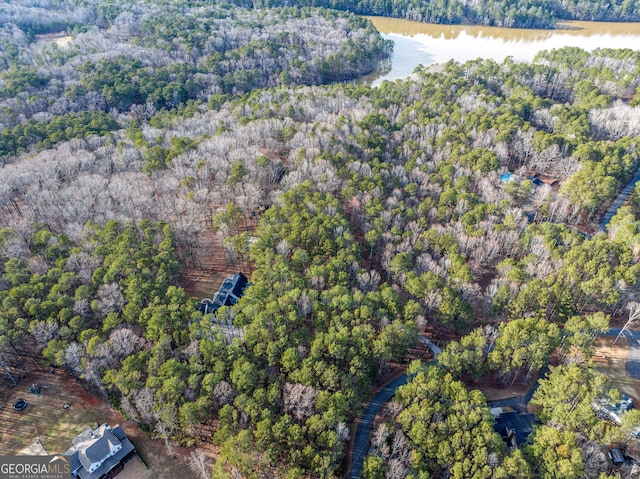 birds eye view of property with a wooded view and a water view