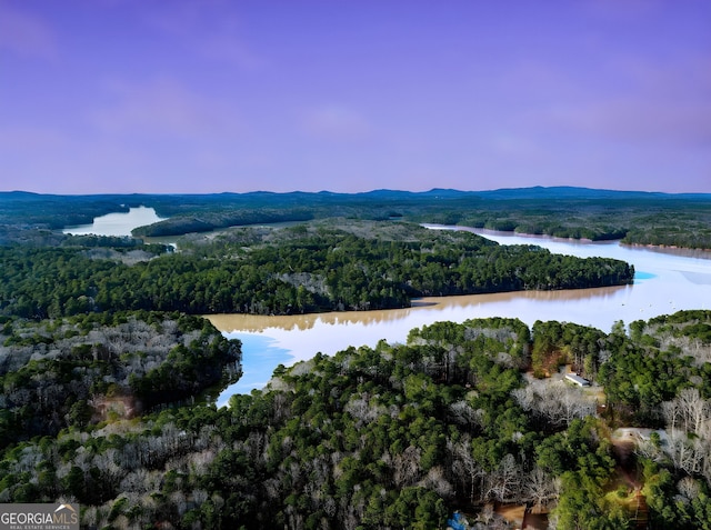 drone / aerial view featuring a view of trees and a water and mountain view