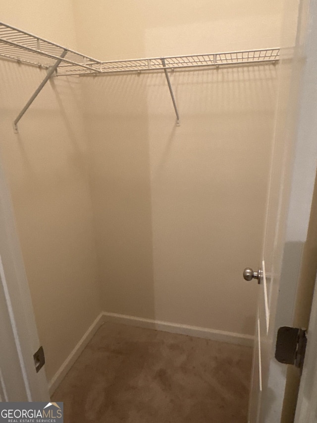 walk in closet with carpet flooring