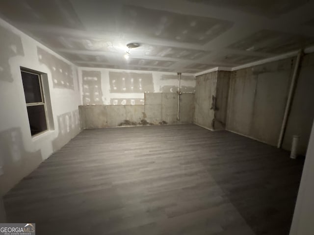 basement featuring hardwood / wood-style floors