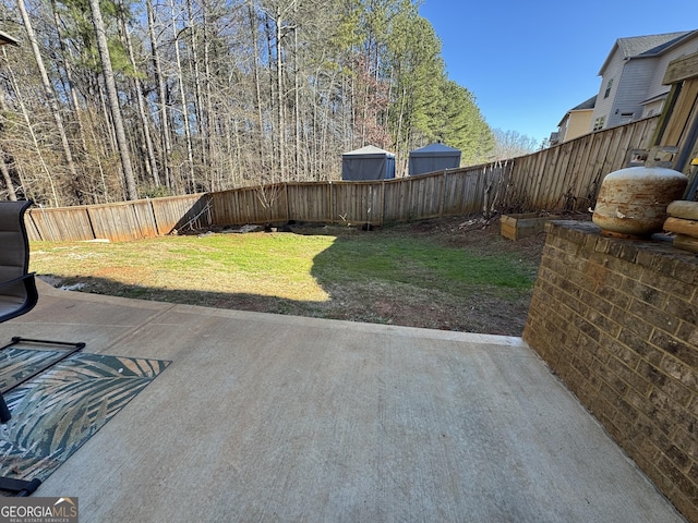 view of yard featuring a patio area