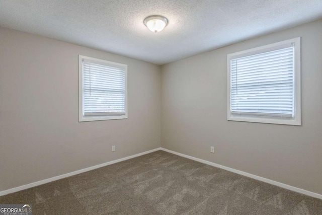 empty room featuring carpet floors and a textured ceiling