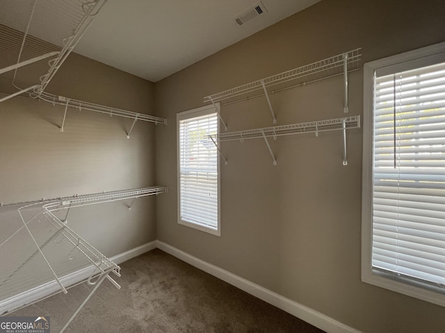 walk in closet featuring carpet